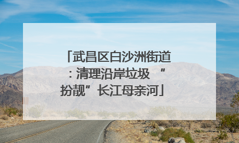 武昌区白沙洲街道：清理沿岸垃圾 “扮靓”长江母亲河