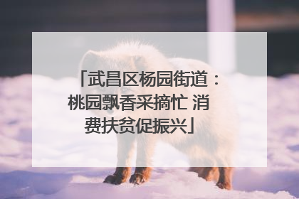 武昌区杨园街道：桃园飘香采摘忙 消费扶贫促振兴