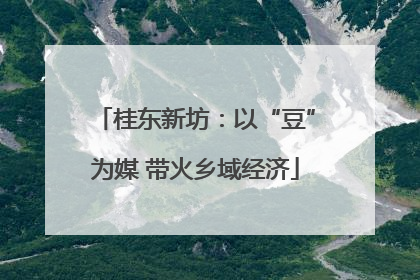 桂东新坊：以“豆”为媒 带火乡域经济