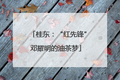 桂东：“红先锋”邓耀明的油茶梦