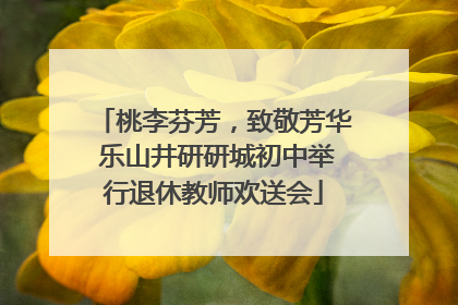 桃李芬芳，致敬芳华 乐山井研研城初中举行退休教师欢送会