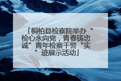 桐柏县检察院举办“检心永向党，青春铸忠诚”青年检察干警“实”迹展示活动