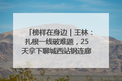 榜样在身边｜王林：扎根一线破难题，25天拿下聊城西站钢连廊“硬核”工程