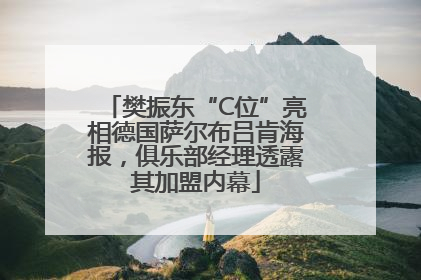 樊振东“C位”亮相德国萨尔布吕肯海报，俱乐部经理透露其加盟内幕