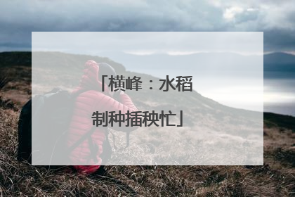横峰：水稻制种插秧忙