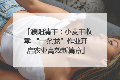 濮阳清丰：小麦丰收季 “一条龙”作业开启农业高效新篇章