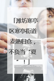 潍坊寒亭区寒亭街道麦熟归仓，不负当“夏”！