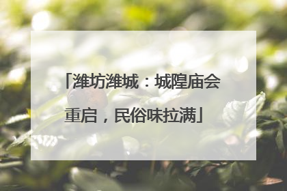 潍坊潍城：城隍庙会重启，民俗味拉满