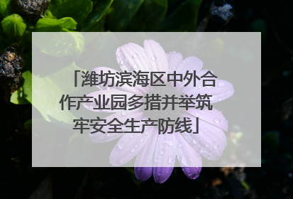 潍坊滨海区中外合作产业园多措并举筑牢安全生产防线