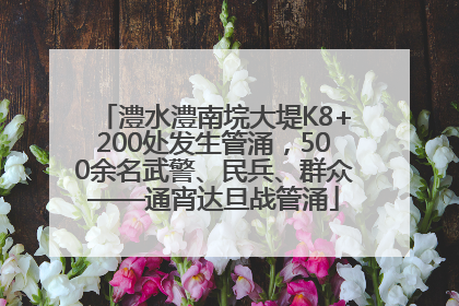 澧水澧南垸大堤K8+200处发生管涌，500余名武警、民兵、群众——通宵达旦战管涌