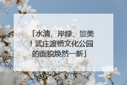 水清、岸绿、景美！武庄渡槽文化公园的面貌焕然一新