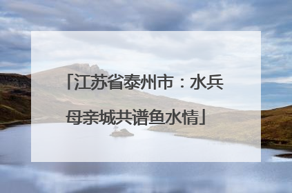 江苏省泰州市：水兵母亲城共谱鱼水情