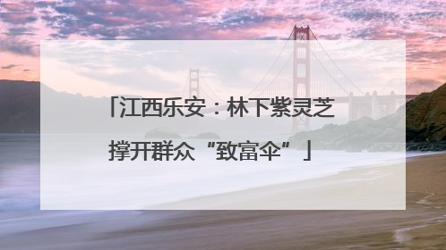 江西乐安：林下紫灵芝撑开群众“致富伞”