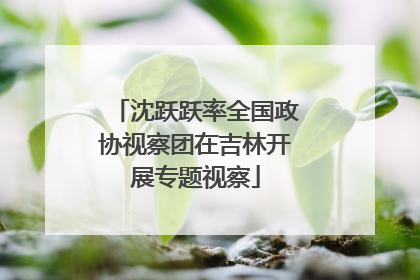 沈跃跃率全国政协视察团在吉林开展专题视察