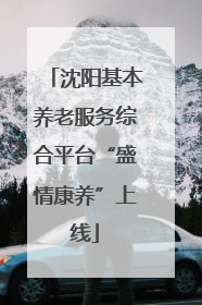 沈阳基本养老服务综合平台“盛情康养”上线