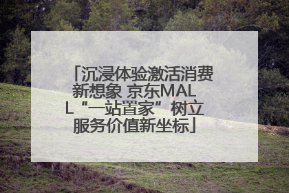沉浸体验激活消费新想象 京东MALL“一站置家”树立服务价值新坐标