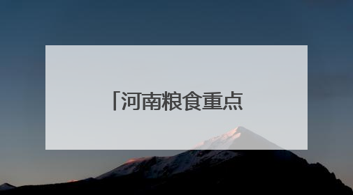 河南粮食重点领域贷款余额超2595亿元