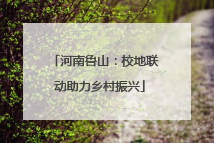 河南鲁山：校地联动助力乡村振兴