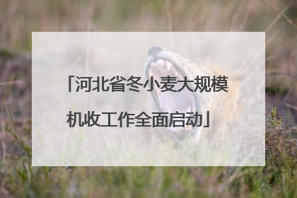 河北省冬小麦大规模机收工作全面启动