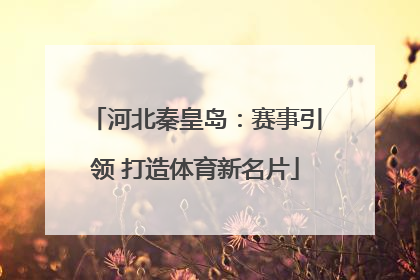 河北秦皇岛：赛事引领 打造体育新名片