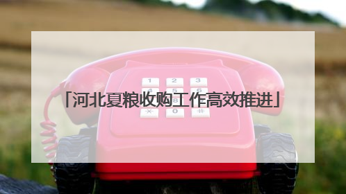 河北夏粮收购工作高效推进