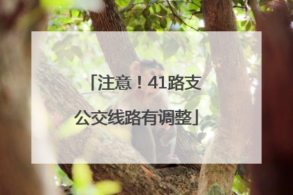 注意！41路支公交线路有调整
