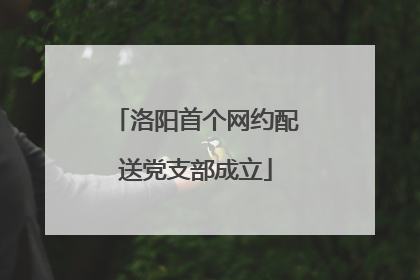 洛阳首个网约配送党支部成立