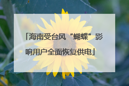 海南受台风“蝴蝶”影响用户全面恢复供电