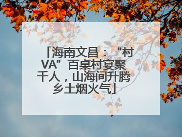 海南文昌：“村VA”百桌村宴聚千人，山海间升腾乡土烟火气