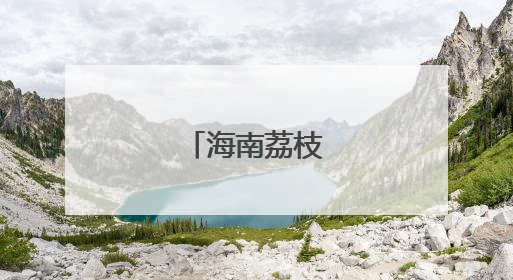 海南荔枝畅销海外