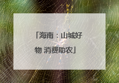 海南：山城好物 消费助农