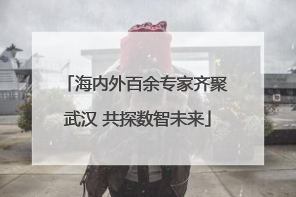 海内外百余专家齐聚武汉 共探数智未来