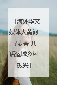 海外华文媒体人黄河寻麦香 共话运城乡村振兴