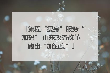 流程“瘦身”服务“加码” 山东政务改革跑出“加速度”