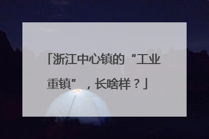浙江中心镇的“工业重镇”，长啥样？