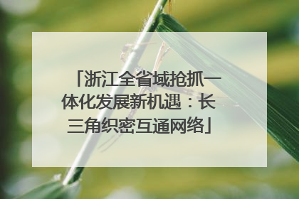 浙江全省域抢抓一体化发展新机遇：长三角织密互通网络