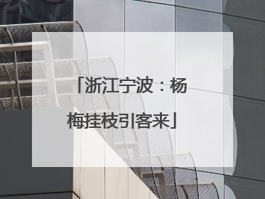 浙江宁波：杨梅挂枝引客来