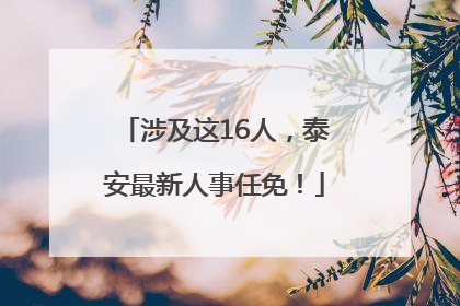 涉及这16人，泰安最新人事任免！