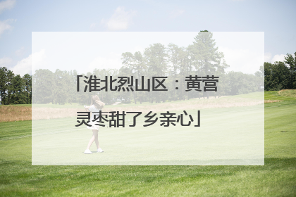 淮北烈山区：黄营灵枣甜了乡亲心