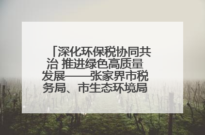 深化环保税协同共治 推进绿色高质量发展——张家界市税务局、市生态环境局签署合作备忘录