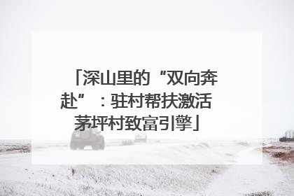 深山里的“双向奔赴”：驻村帮扶激活茅坪村致富引擎