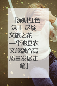深耕红色沃土 尽绽文旅之花——华池县农文旅融合高质量发展走笔