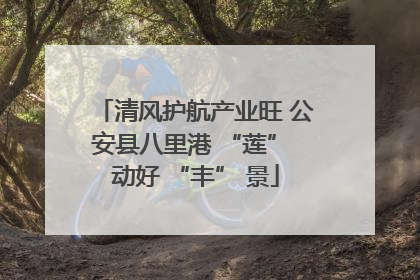 清风护航产业旺 公安县八里港 “莲” 动好 “丰” 景