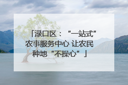 渌口区：“一站式”农事服务中心 让农民种地“不操心”