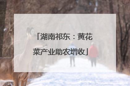 湖南祁东：黄花菜产业助农增收