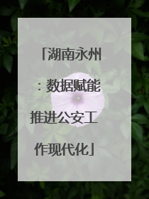 湖南永州：数据赋能推进公安工作现代化