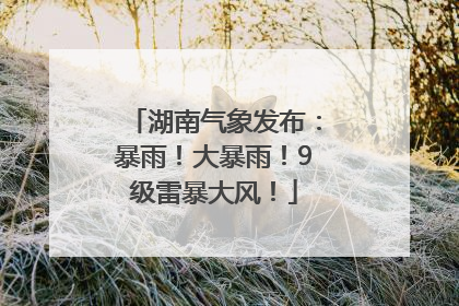 湖南气象发布：暴雨！大暴雨！9级雷暴大风！