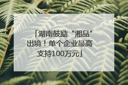 湖南鼓励“湘品”出境！单个企业最高支持100万元