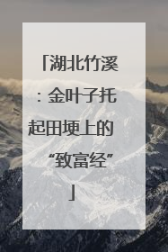 湖北竹溪：金叶子托起田埂上的“致富经”