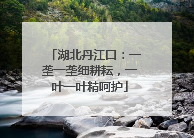 湖北丹江口：一垄一垄细耕耘，一叶一叶精呵护